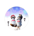 Shake＆Chop（個別スタンプ：26）