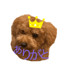 マルスタンプの世界（個別スタンプ：1）