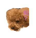 マルスタンプの世界（個別スタンプ：2）