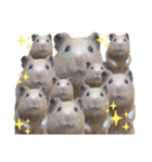 ハムスターのパズ君 ⑦（個別スタンプ：3）