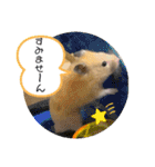 ハムスターのパズ君 ⑦（個別スタンプ：20）
