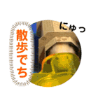 ハムスターのパズ君 ⑦（個別スタンプ：23）