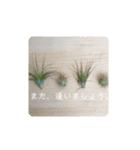 ナチュラルなスタンプ（個別スタンプ：2）