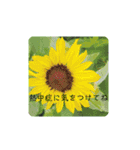 ナチュラルなスタンプ（個別スタンプ：5）
