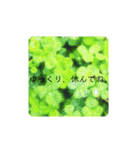 ナチュラルなスタンプ（個別スタンプ：9）