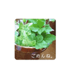 ナチュラルなスタンプ（個別スタンプ：13）