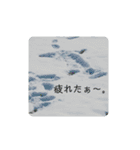 ナチュラルなスタンプ（個別スタンプ：15）