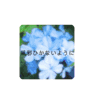 ナチュラルなスタンプ（個別スタンプ：23）