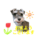 I'm BUZZ！（個別スタンプ：1）