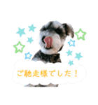 I'm BUZZ！（個別スタンプ：10）