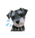 I'm BUZZ！（個別スタンプ：11）