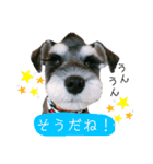 I'm BUZZ！（個別スタンプ：12）