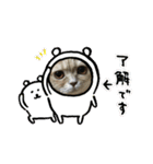 あーちゃんにゃ（個別スタンプ：8）