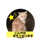 あーちゃんにゃ（個別スタンプ：9）