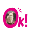 あーちゃんにゃ（個別スタンプ：10）