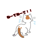 猫のチャースタンプ（個別スタンプ：3）