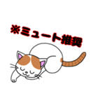 猫のチャースタンプ（個別スタンプ：4）