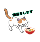 猫のチャースタンプ（個別スタンプ：5）