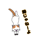 猫のチャースタンプ（個別スタンプ：7）