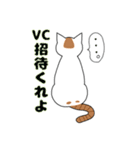 猫のチャースタンプ（個別スタンプ：8）