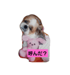 ゆう＆あい一筋（個別スタンプ：3）