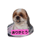 ゆう＆あい一筋（個別スタンプ：5）
