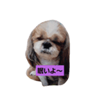 ゆう＆あい一筋（個別スタンプ：6）