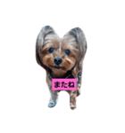 ゆう＆あい一筋（個別スタンプ：8）