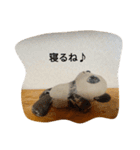 パンダとおばけ、2（個別スタンプ：8）