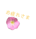 花ことば。（個別スタンプ：2）