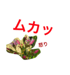 花ことば。（個別スタンプ：4）