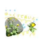 花ことば。（個別スタンプ：5）