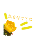 花ことば。（個別スタンプ：7）