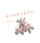 花ことば。（個別スタンプ：9）