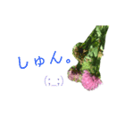 花ことば。（個別スタンプ：10）