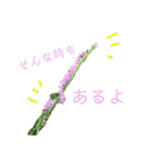 花ことば。（個別スタンプ：12）