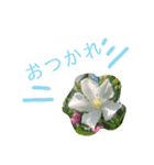 花ことば。（個別スタンプ：14）