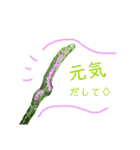 花ことば。（個別スタンプ：17）