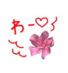 花ことば。（個別スタンプ：19）