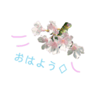 花ことば。（個別スタンプ：21）
