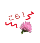 花ことば。（個別スタンプ：22）