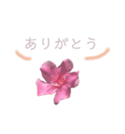 花ことば。（個別スタンプ：26）
