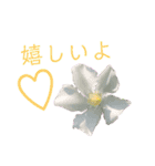 花ことば。（個別スタンプ：27）