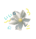 花ことば。（個別スタンプ：30）