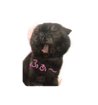リリィとふぐり（個別スタンプ：1）
