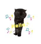 リリィとふぐり（個別スタンプ：8）