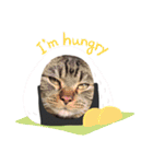 リリィとふぐり（個別スタンプ：13）