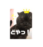 リリィとふぐり（個別スタンプ：22）