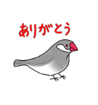 文鳥スタンプ むすちゃんだよ Vol.2（個別スタンプ：1）