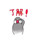 文鳥スタンプ むすちゃんだよ Vol.2（個別スタンプ：4）